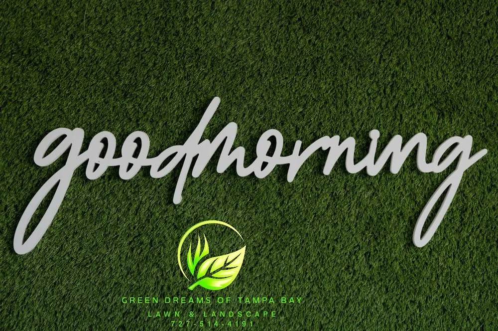 Local landscape installation in Port Richey, FL - Green Dreams of Tampa Bay