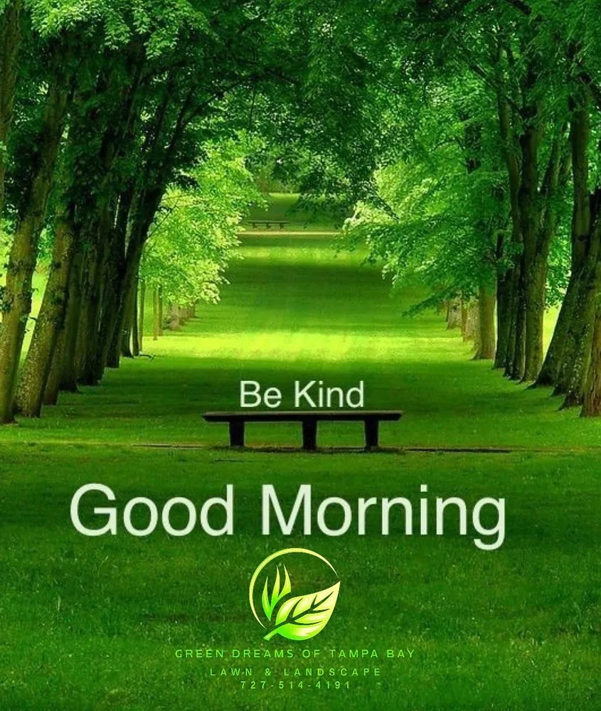 Top-rated garden landscaping in Port Richey, FL - Green Dreams of Tampa Bay