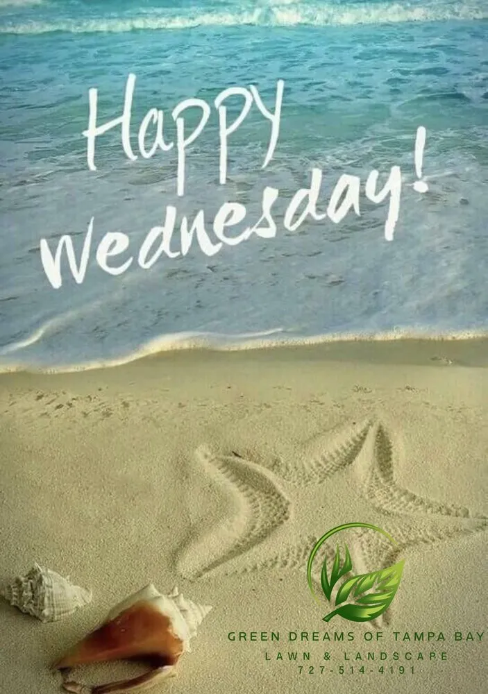 Professional lawn care service in Port Richey, FL - Green Dreams of Tampa Bay