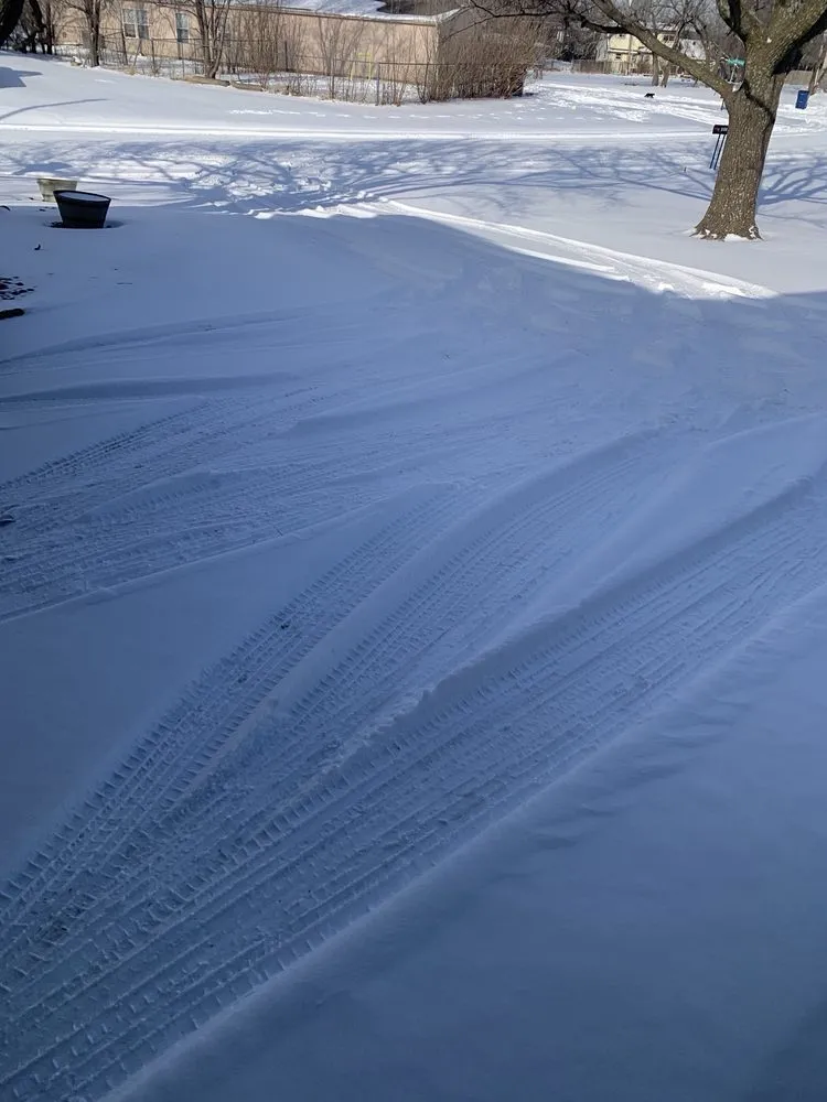 Top-rated yard cleanup service in Derby, KS by Green Dreamscapes