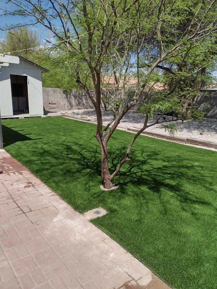 Professional landscaping services for beautiful yards across Las Vegas, NV - Green Drop Lawn Service