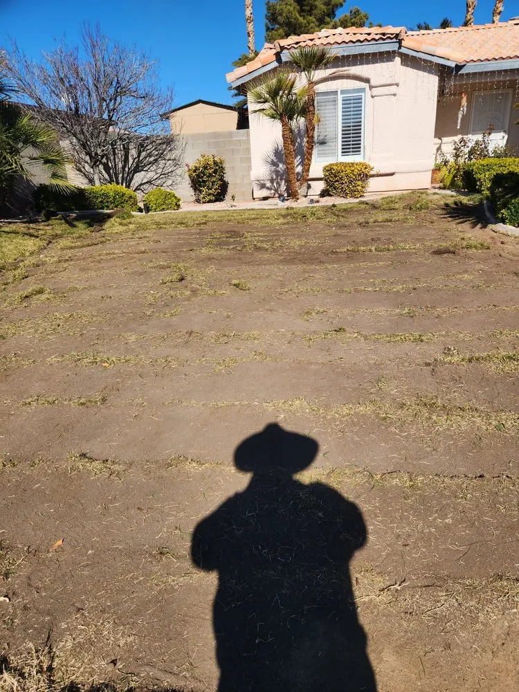Custom garden landscaping experts serving Las Vegas, NV - Green Drop Lawn Service
