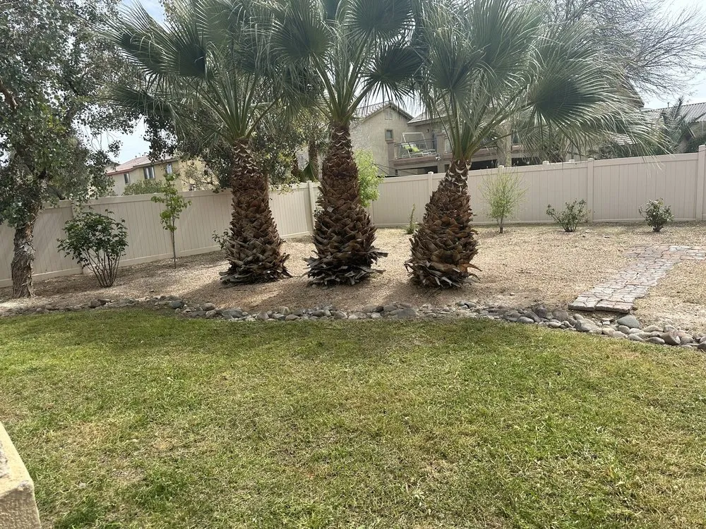 Trusted lawn care service in Las Vegas, NV by Green Drop Lawn Service