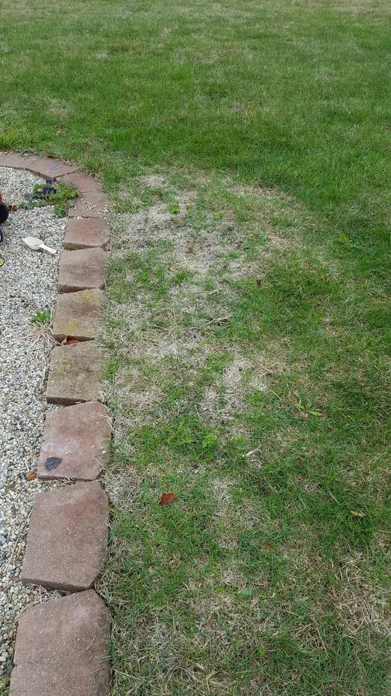 Trusted landscape installation for outdoor upgrades across Naperville, IL - Green Drop Lawns