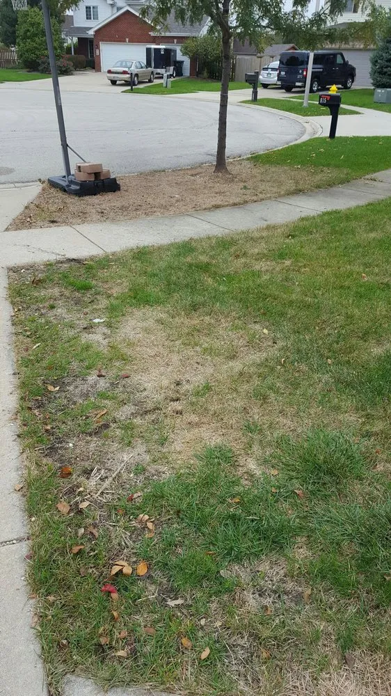 Affordable residential landscaping in Naperville, IL - Green Drop Lawns
