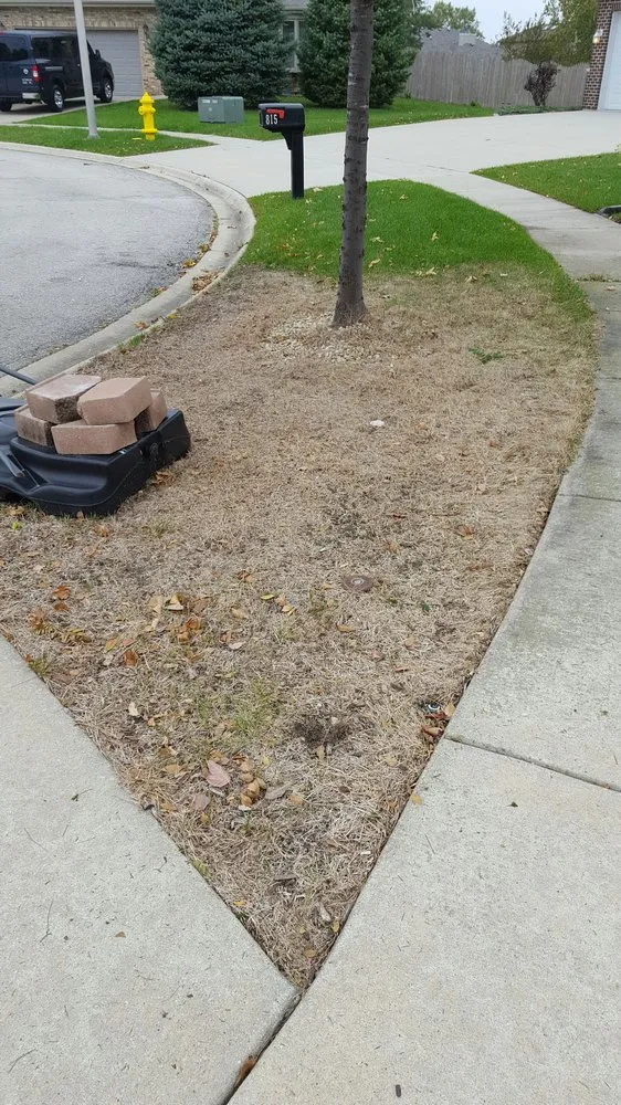 Trusted landscape design in Naperville, IL - Green Drop Lawns