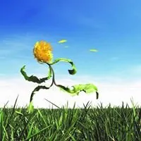 Green Drop Lawns Logo