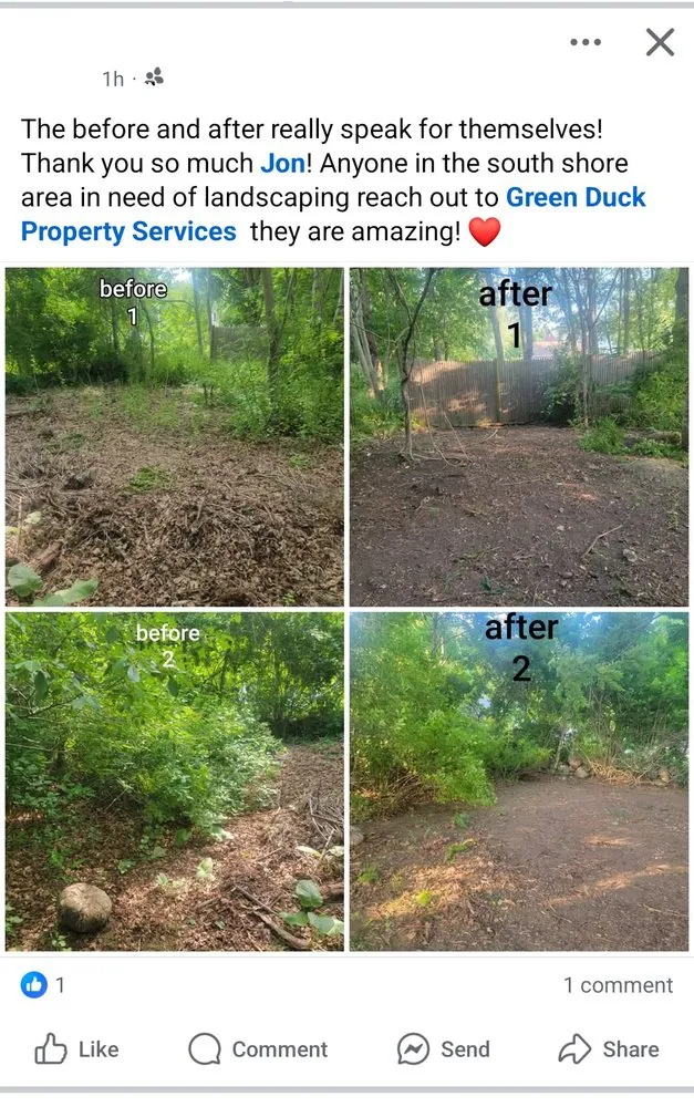 Professional yard maintenance in Dedham, MA by Green Duck Property Services