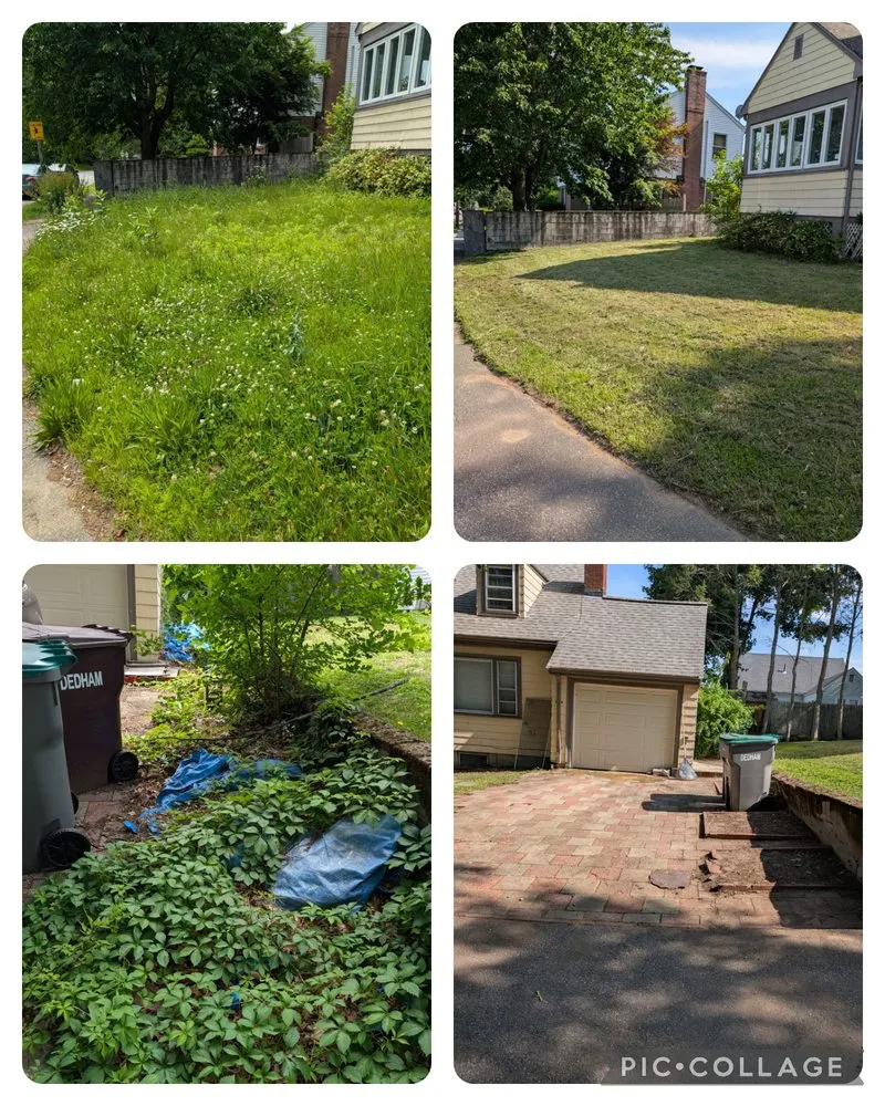 Local yard cleanup service experts serving Dedham, MA - Green Duck Property Services