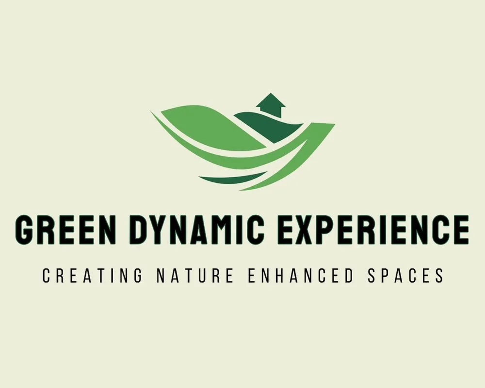 Professional yard maintenance in Houston, TX by Green Dynamic Experience