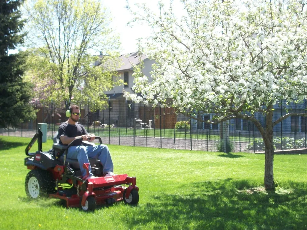 Professional landscape installation in New Hope, MN - Green Dynamics