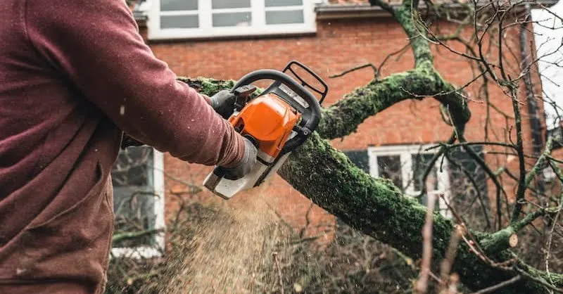 Local residential landscaping experts serving Harrisonville, MO - Green Earth Cleaning