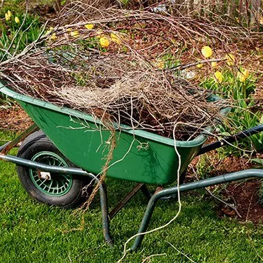 Green Earth Cleaning Logo
