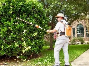 Professional garden landscaping in Austin, TX by Green Earth Conservation Lawns