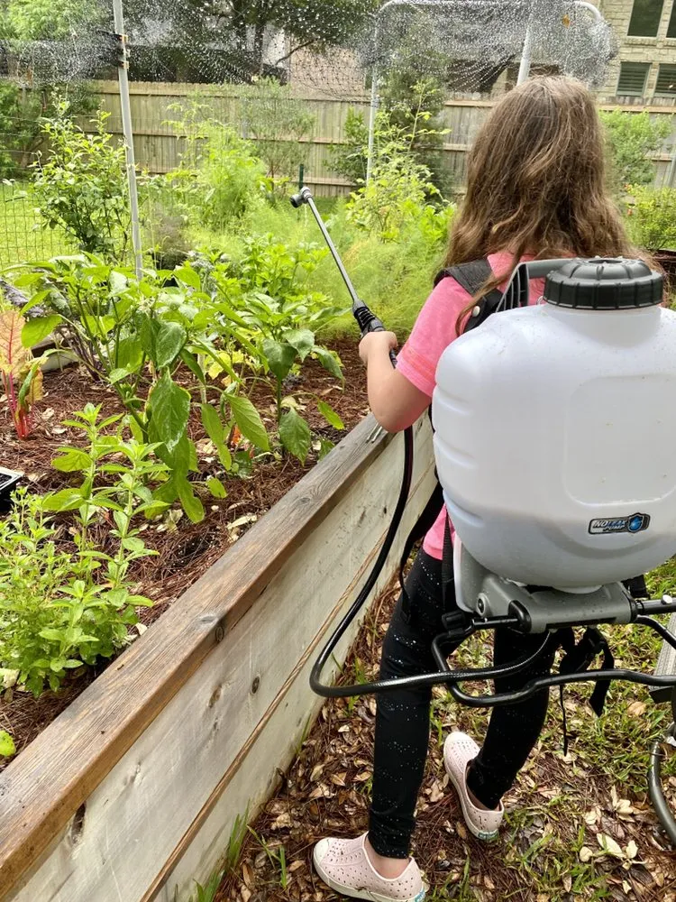 Expert landscape installation experts serving Austin, TX - Green Earth Conservation Lawns