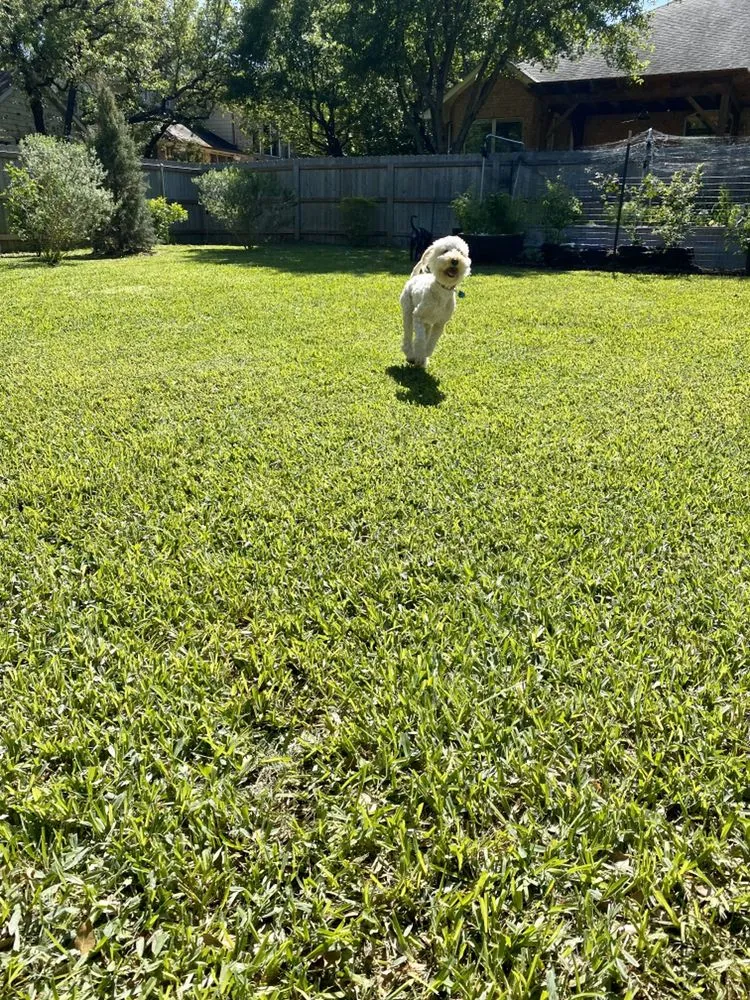 Custom landscape design for residential properties across Austin, TX - Green Earth Conservation Lawns