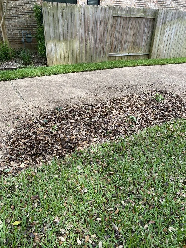 Reliable garden landscaping in Austin, TX by Green Earth Conservation Lawns