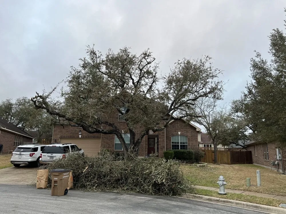 Local garden landscaping for outdoor upgrades across Austin, TX - Green Earth Conservation Lawns