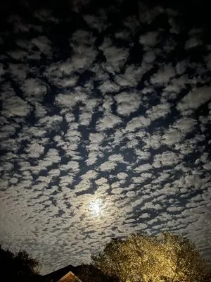 Green Earth Conservation Lawns Logo