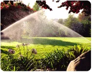 Affordable lawn care service in Greeley, CO by Green Earth Environmental