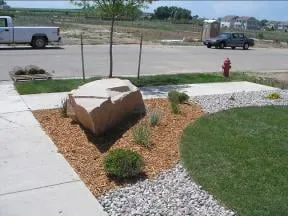 Reliable yard cleanup service for beautiful yards across Greeley, CO - Green Earth Environmental
