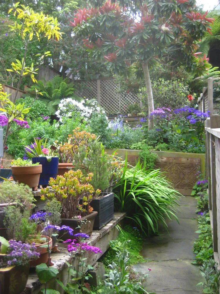 Expert landscape installation in San Francisco, CA - Green Earth Gardeners