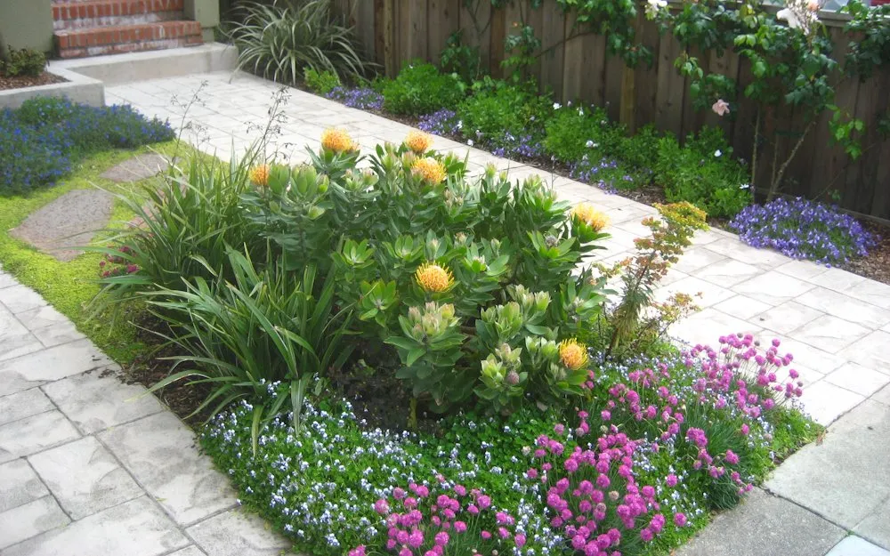 Custom lawn mowing service in San Francisco, CA by Green Earth Gardeners