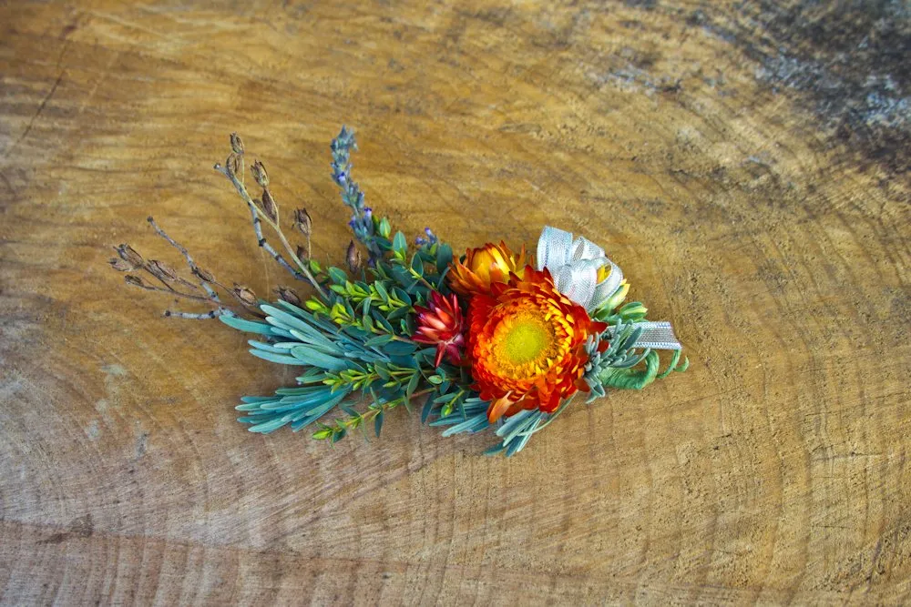 Expert lawn care service in San Francisco, CA - Green Earth Gardeners