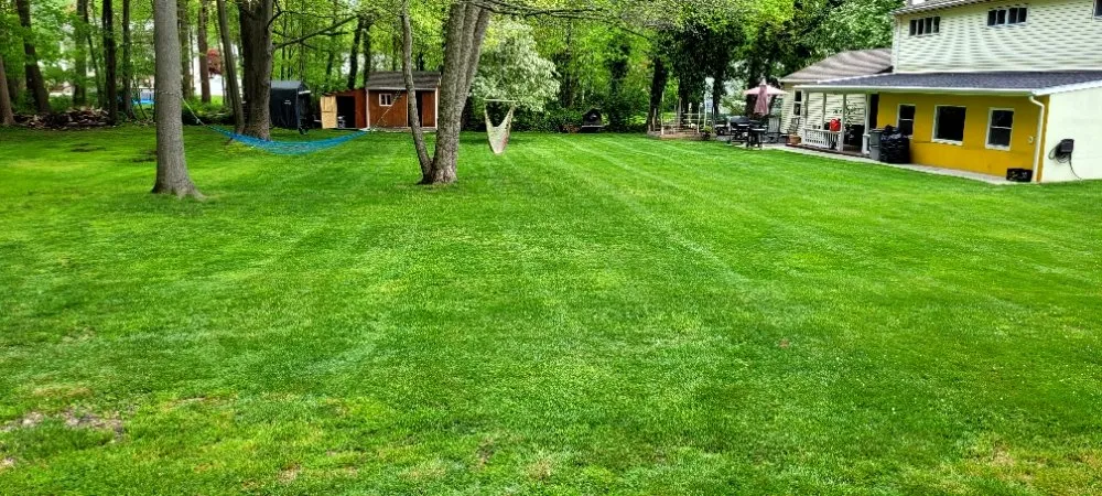 Affordable yard cleanup service in West Haven, CT by Green Earth Gardening & Lawn Care Service