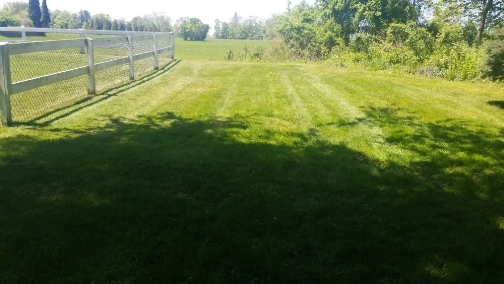 Reliable residential landscaping experts serving West Haven, CT - Green Earth Gardening & Lawn Care Service