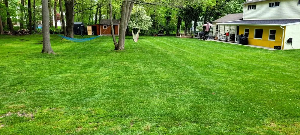 Local residential landscaping in West Haven, CT - Green Earth Gardening & Lawn Care Service