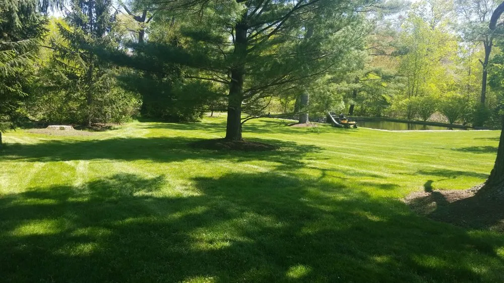 Reliable yard cleanup service for year-round maintenance in West Haven, CT by Green Earth Gardening & Lawn Care Service