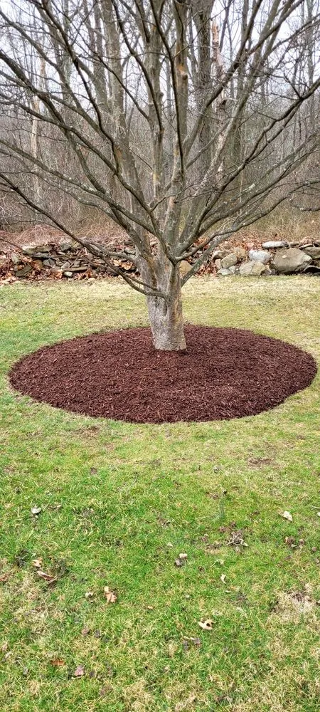 Expert yard maintenance with custom design across West Haven, CT - Green Earth Gardening & Lawn Care Service