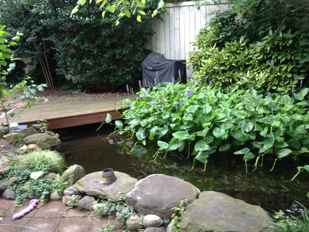 Top-rated lawn care service in Hamilton, VA by Green Earth Gardens