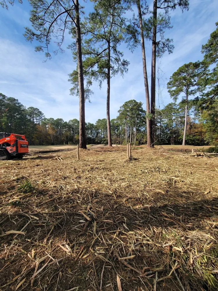 Professional yard maintenance in Okatie, SC - Green Earth Land Shapers