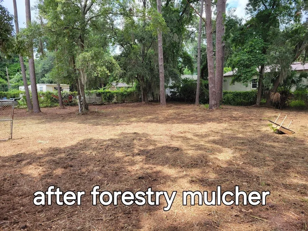 Custom residential landscaping experts serving Okatie, SC - Green Earth Land Shapers