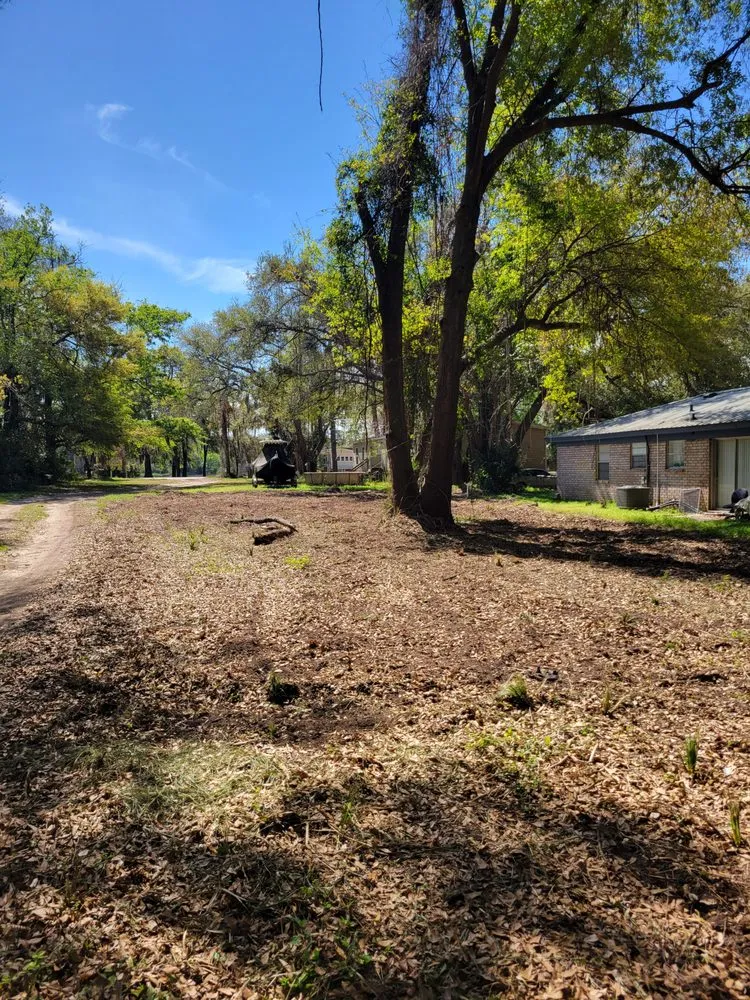 Affordable yard maintenance in Okatie, SC - Green Earth Land Shapers