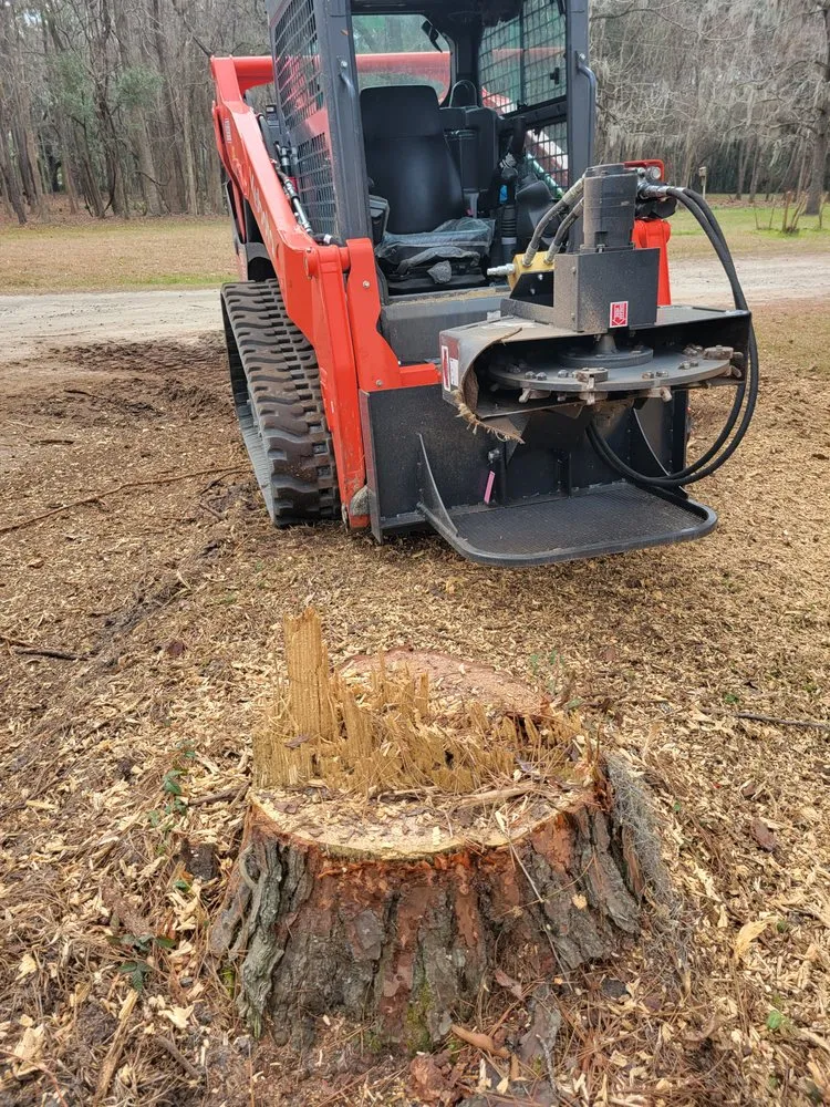 Affordable landscaping services in Okatie, SC by Green Earth Land Shapers