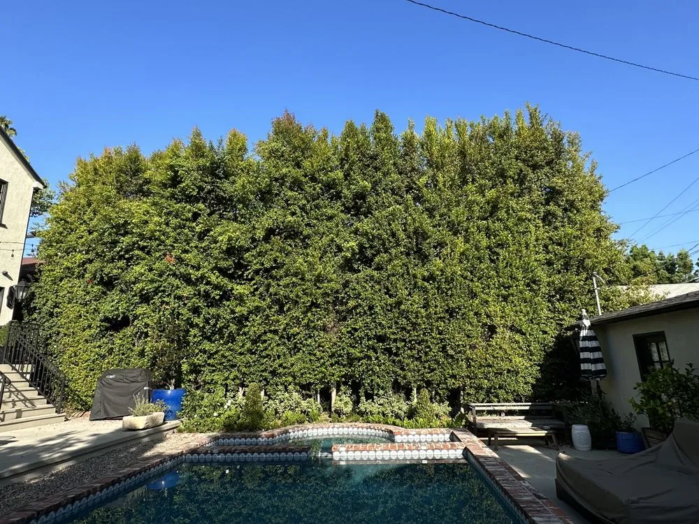 Trusted landscape installation in Upland, CA by Green Earth Landscapes and Tree Service