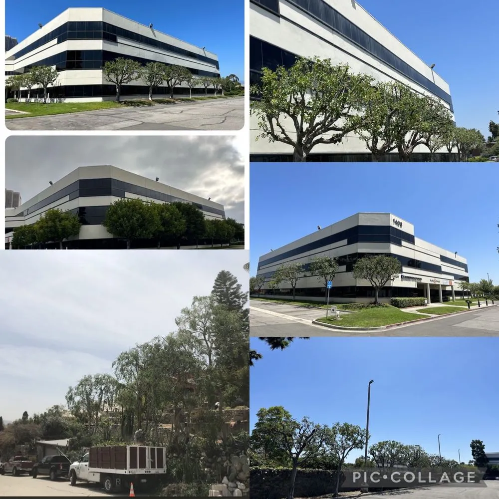 Professional lawn mowing service for beautiful yards in Upland, CA by Green Earth Landscapes and Tree Service