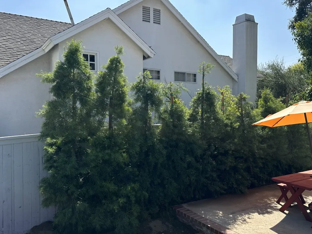 Local landscape installation in Upland, CA - Green Earth Landscapes and Tree Service