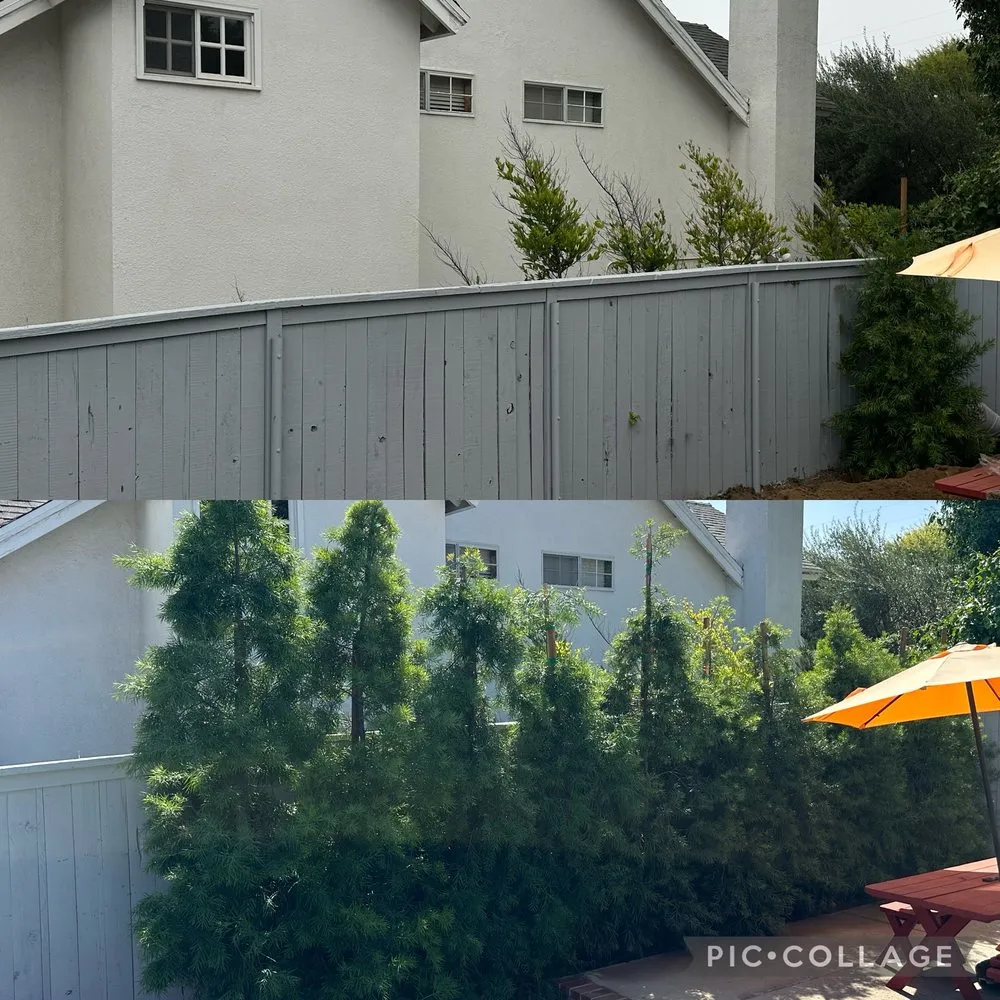 Reliable outdoor landscaping experts serving Upland, CA - Green Earth Landscapes and Tree Service