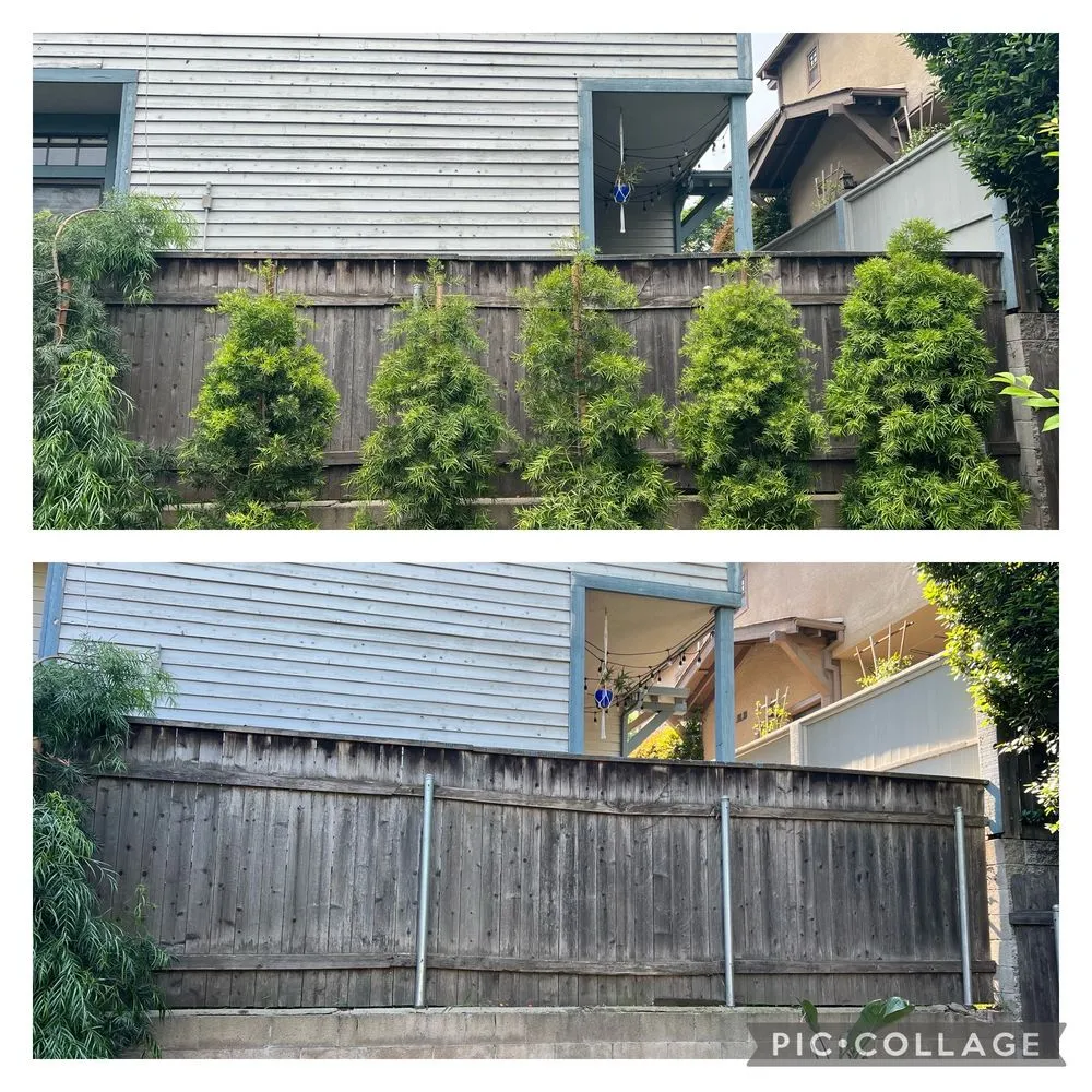 Professional landscaping services experts serving Upland, CA - Green Earth Landscapes and Tree Service