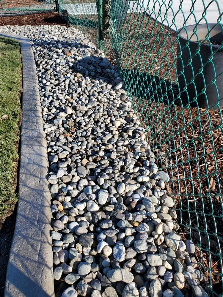 Trusted yard cleanup service experts serving Bellingham, WA - Green Earth Landscapes