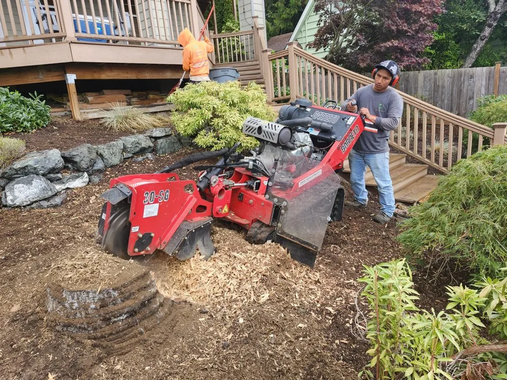 Local garden landscaping in Burlington, WA - Green Earth Landscapes