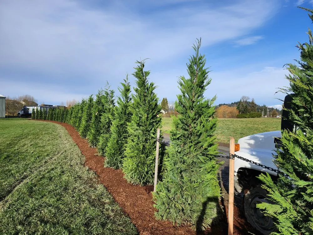 Expert landscape design for year-round maintenance across Burlington, WA - Green Earth Landscapes