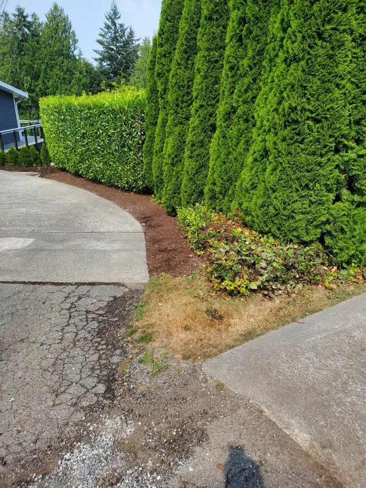 Top-rated landscaping services for homes in Burlington, WA by Green Earth Landscapes