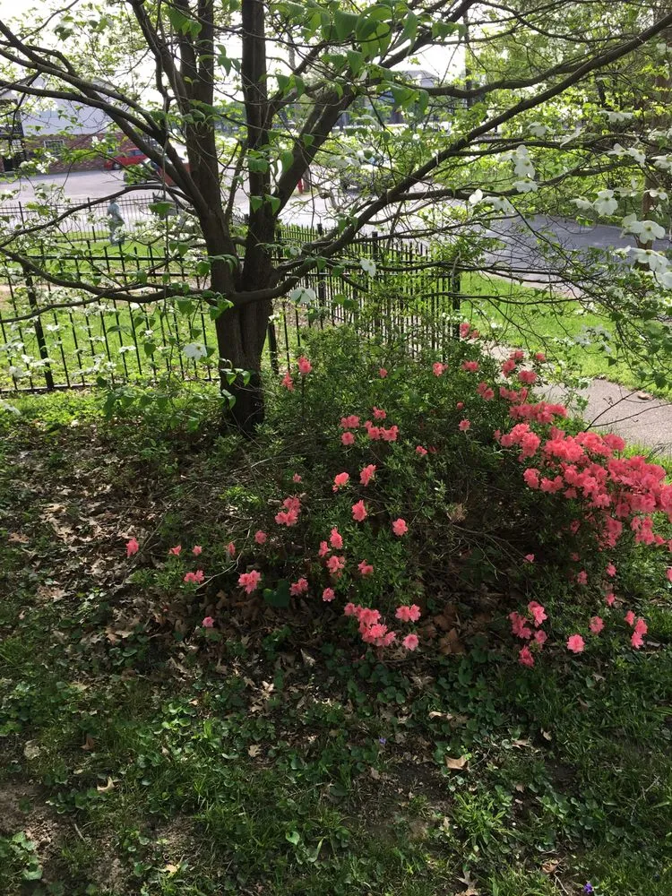 Reliable residential landscaping with custom design in Hurricane, WV by Green earth landscapes