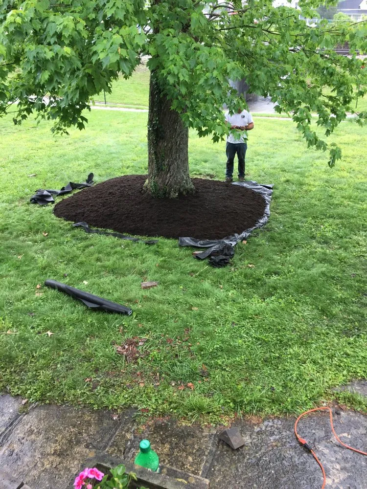 Affordable lawn care service in Hurricane, WV by Green earth landscapes