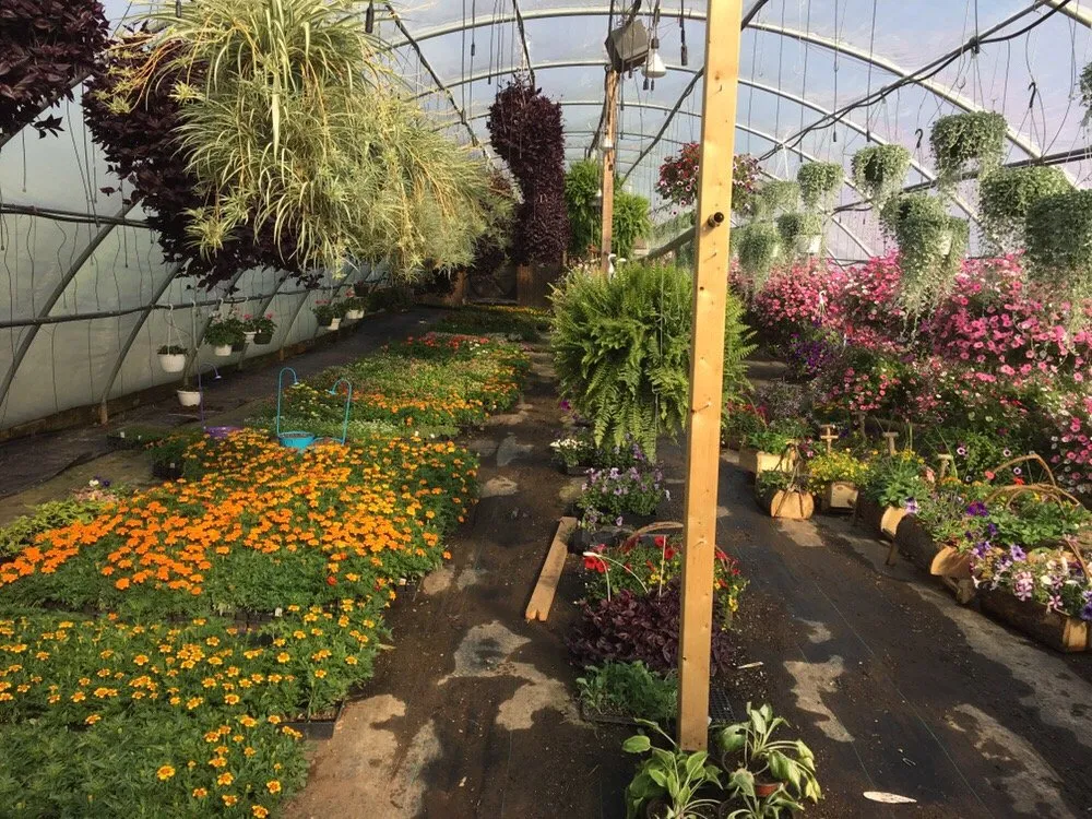 Trusted outdoor landscaping in Hurricane, WV by Green earth landscapes